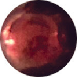 Loose Pearl - Edison 9-14mm