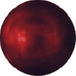 Loose Pearl - Round