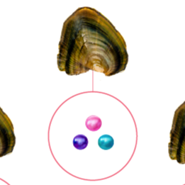 Baby Pearls 3-5mm+- in Freshwater Oyster