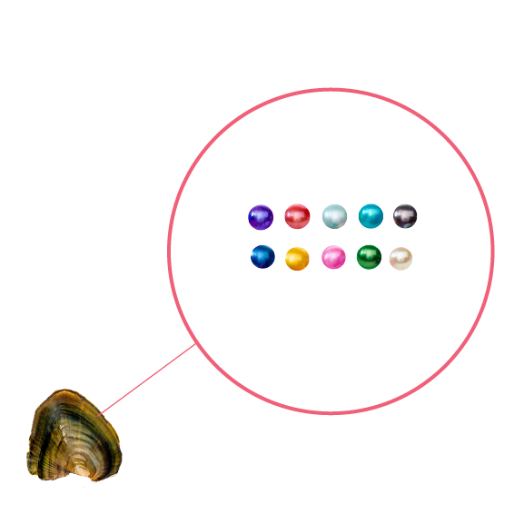 Baby Pearls 3-5mm+- in Freshwater Oyster