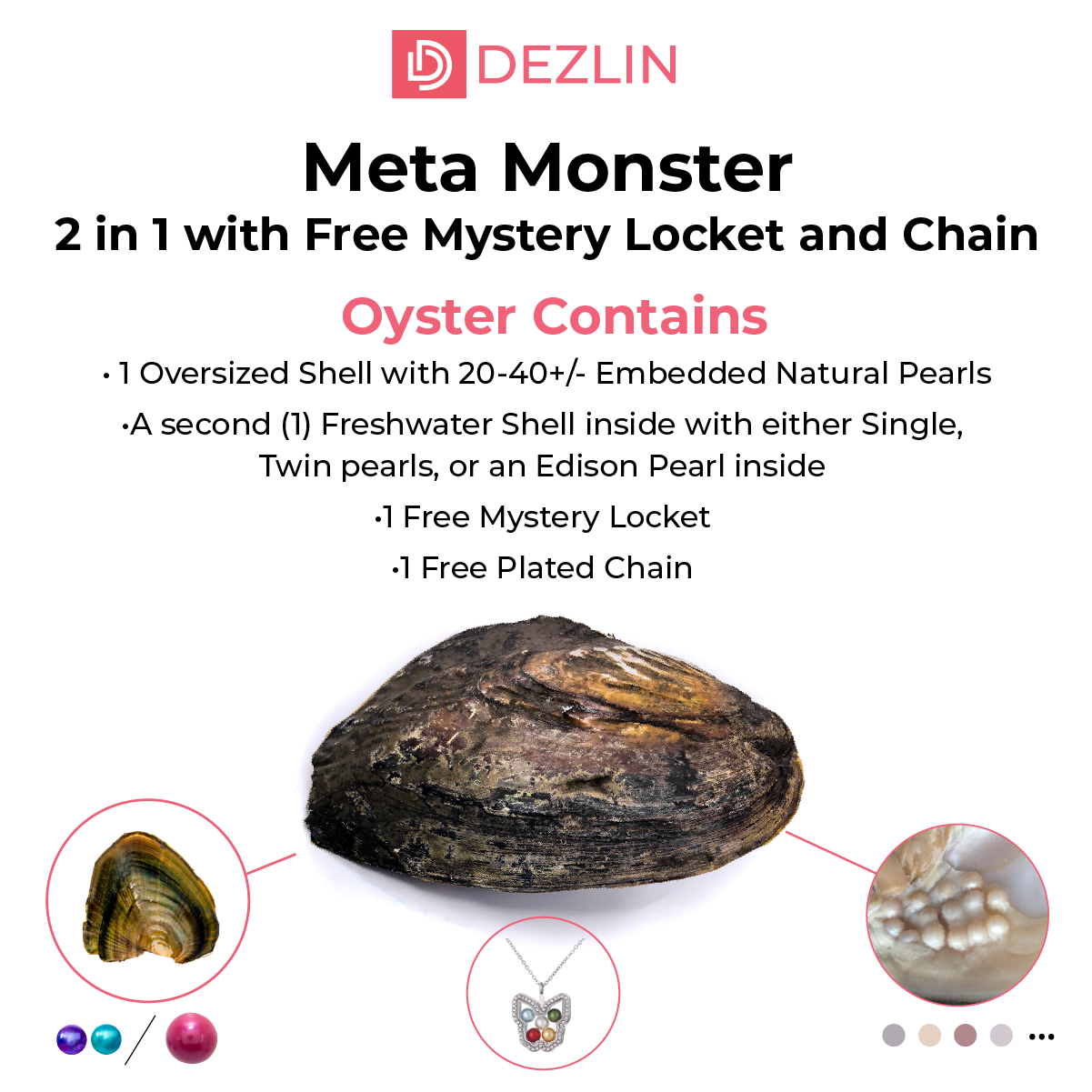 Monster Oyster - Meta Monster 2 In 1 with FREE Glass Locket and Chain
