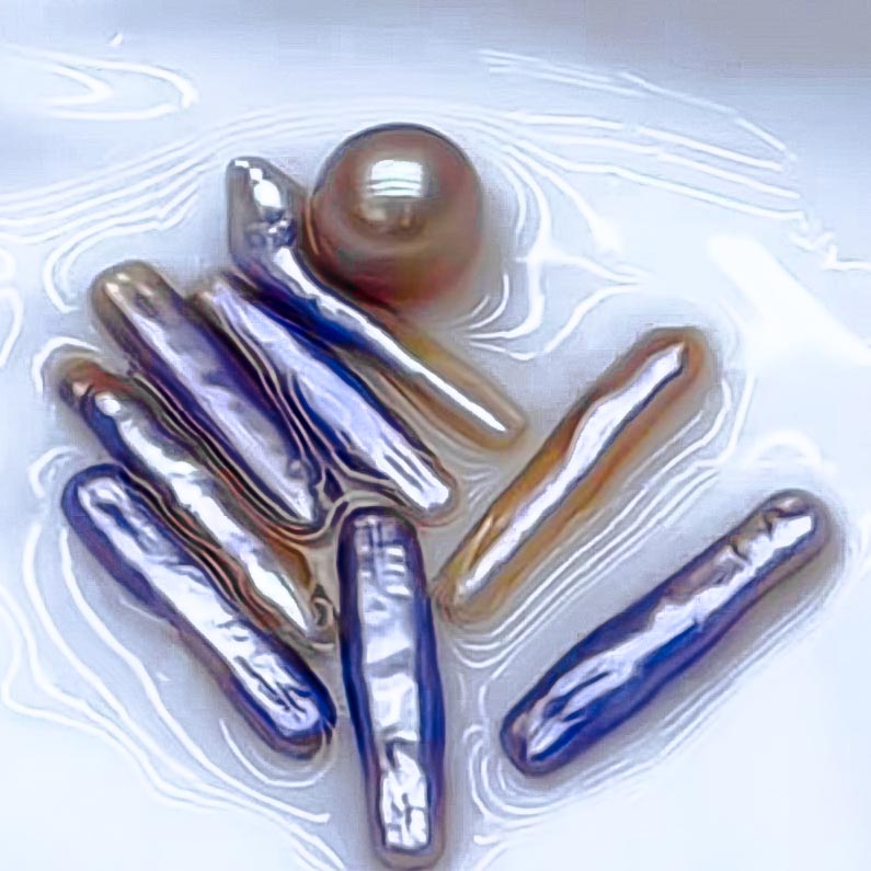 Monster Oyster - Stick Shaped Pearls