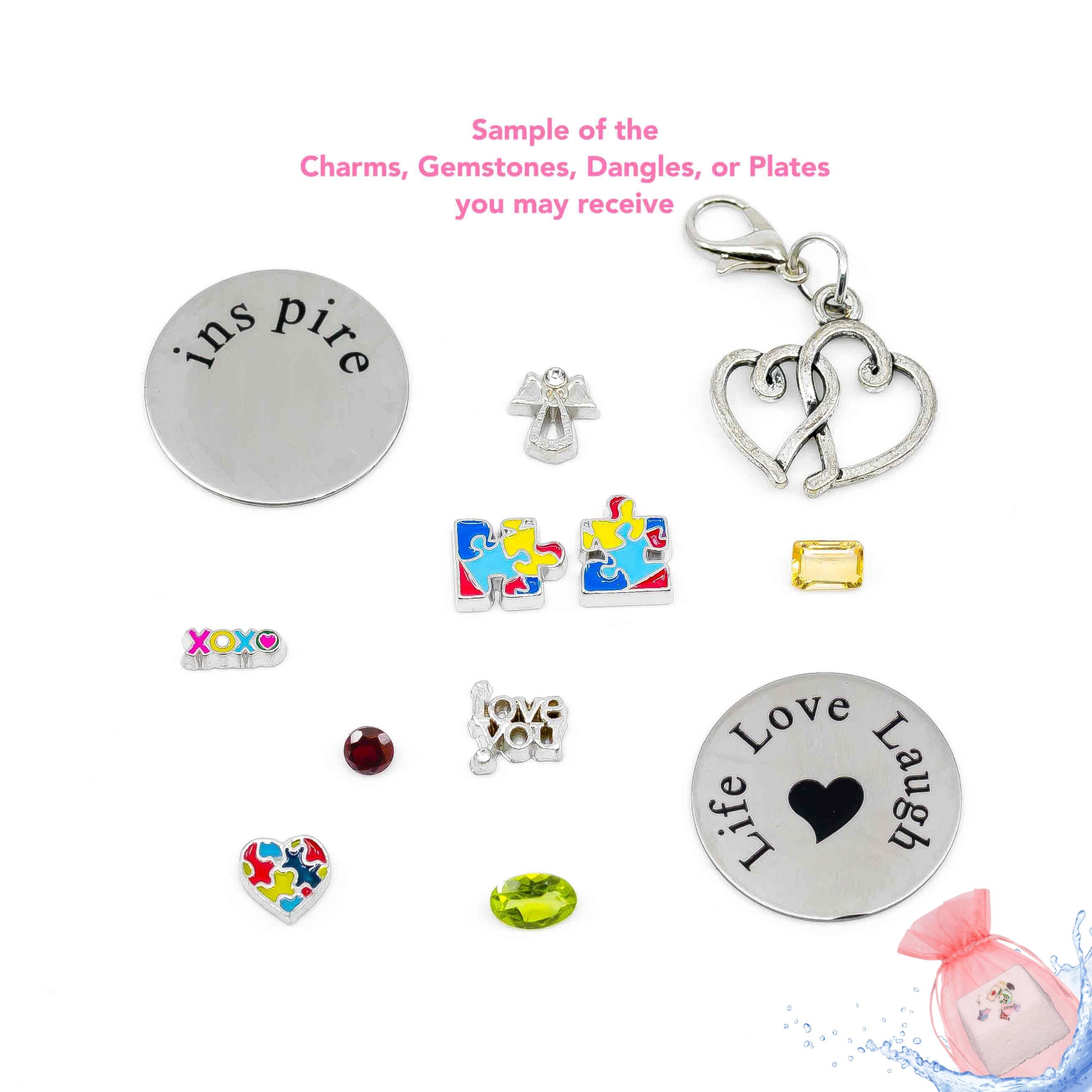 Charm Drop - Autism