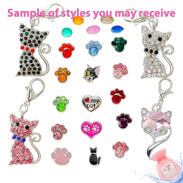 Cat Lover Themed Charm Drops Default