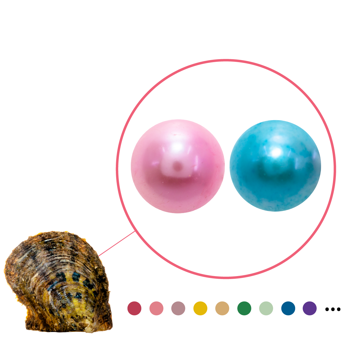Edison 9mm+ Pearl en una concha de ostra Akoya