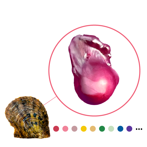 Akoya Oyster - Fireball Shaped Pearl
