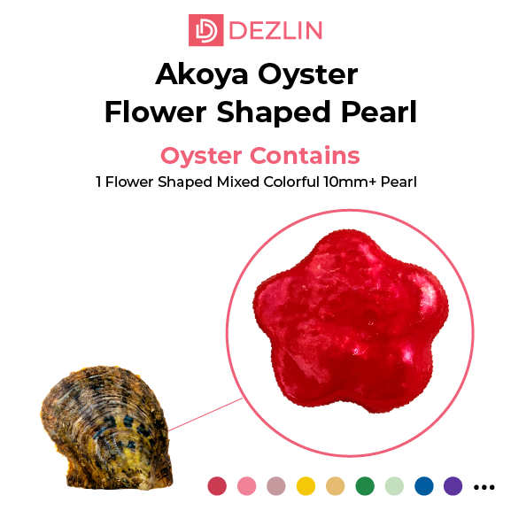 Akoya Oyster Shell with Flower Shaped Pearl