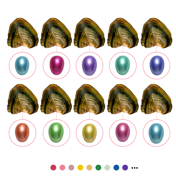 Freshwater Oyster - Rice Shaped Pearls