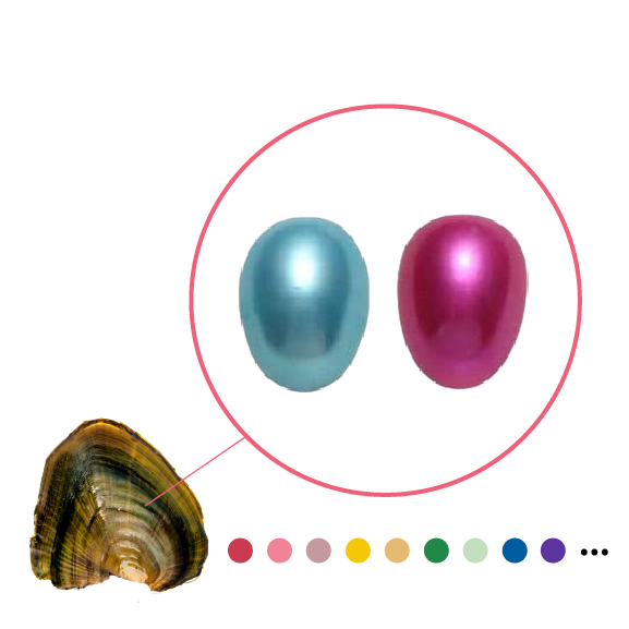 Freshwater Oyster - Rice Shaped Pearls