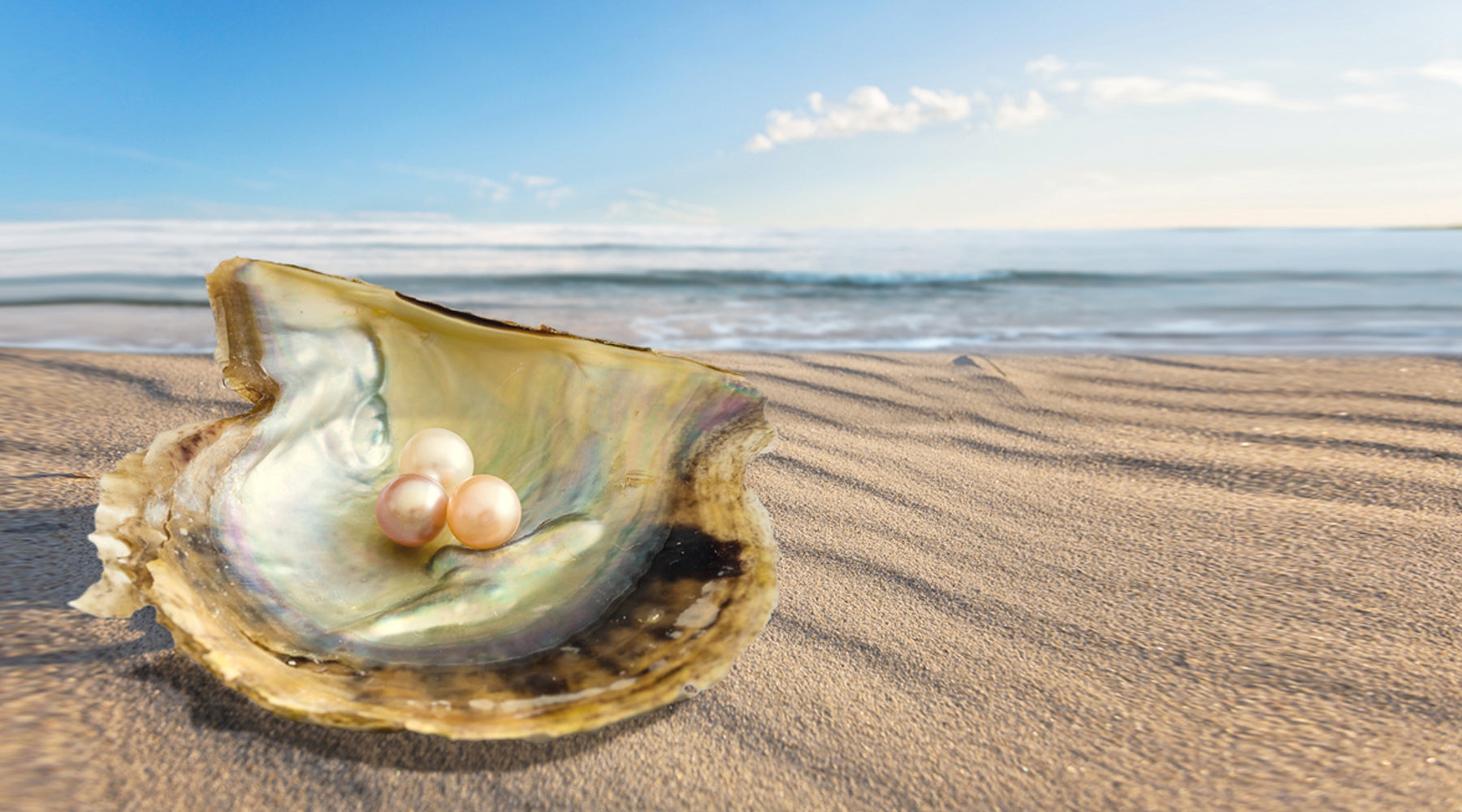 What Are The Chances Of Finding A Pearl In An Oyster?