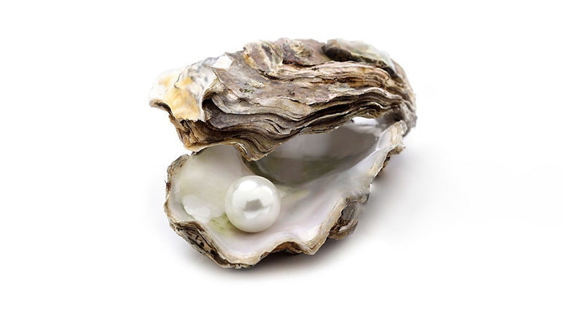 5 Surprising Facts About Oysters
