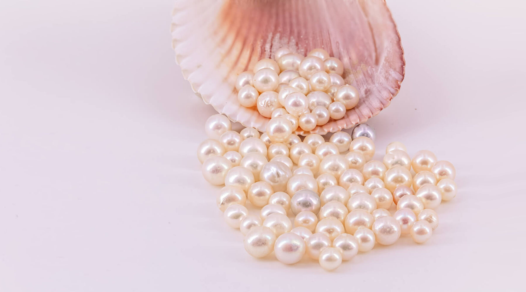 Akoya vs. Freshwater Pearls: Everything You Need To Know