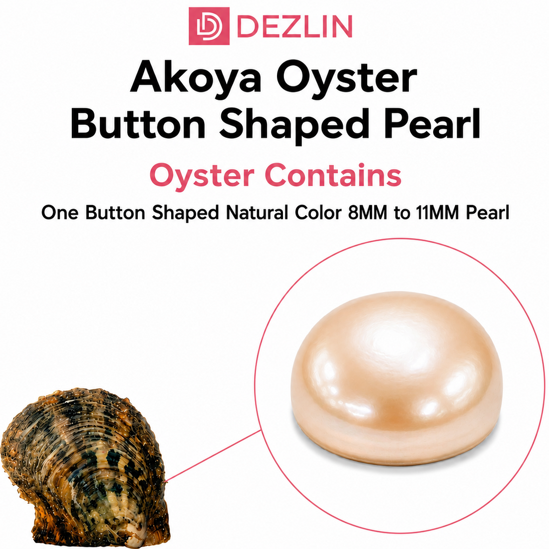 Akoya Oyster - Button Pearl Natural Colors Freshwater