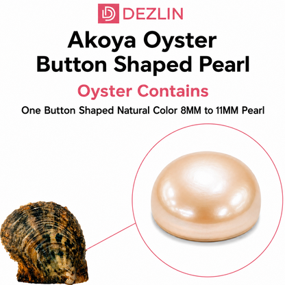 Akoya Oyster - Button Pearl Natural Colors Freshwater