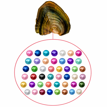 Baby Pearls 3-5mm+- in Freshwater Oyster