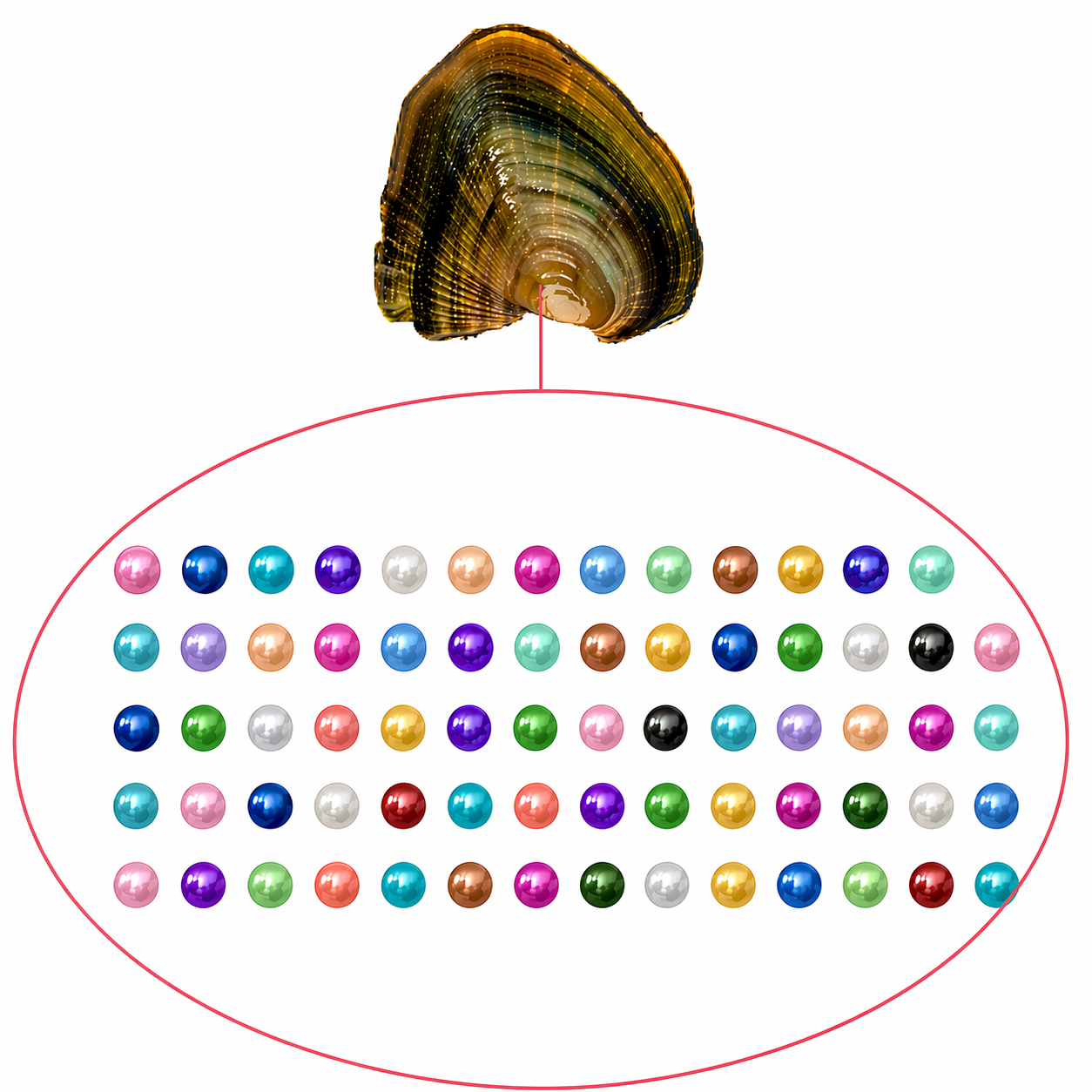 Baby Pearls 3-5mm+- in Freshwater Oyster