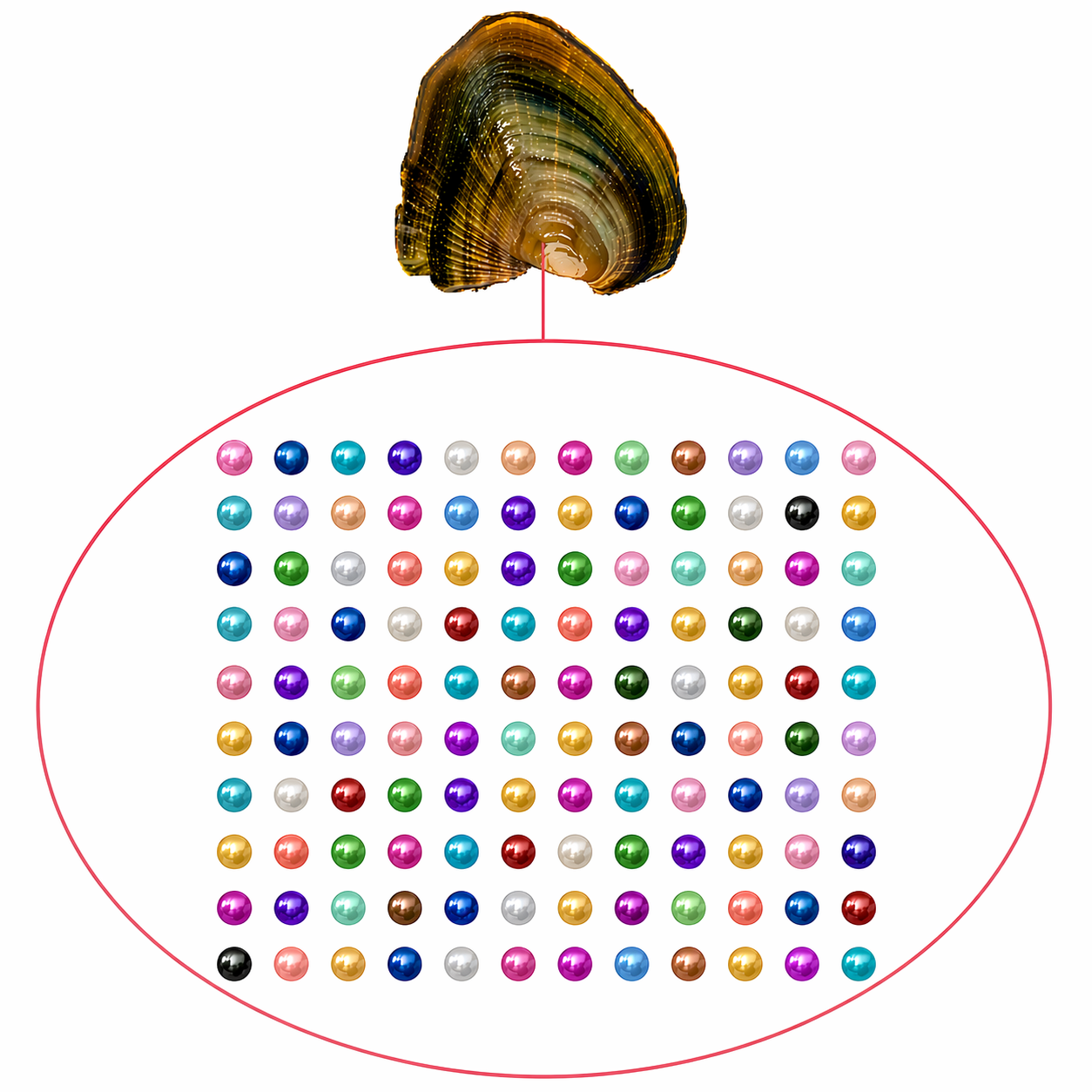 Baby Pearls 3-5mm+- in Freshwater Oyster