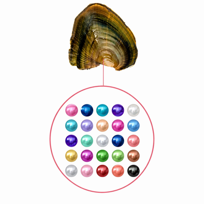 Baby Pearls 3-5mm+- in Freshwater Oyster