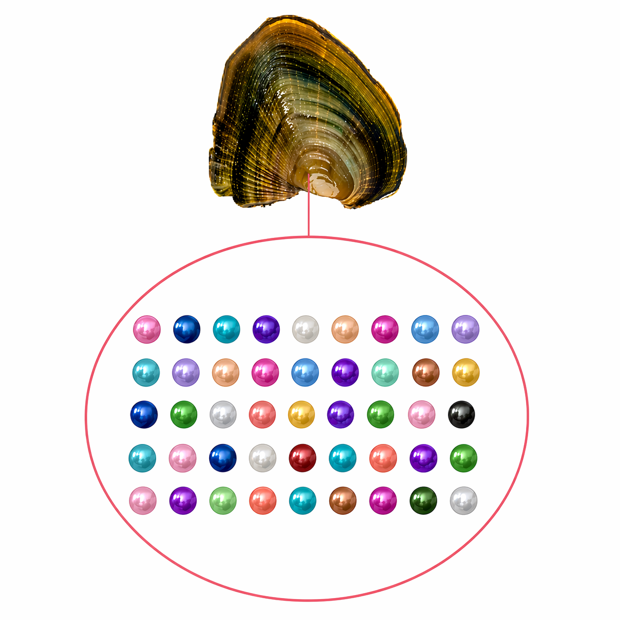 Baby Pearls 3-5mm+- in Freshwater Oyster