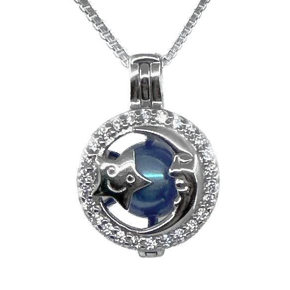 Cage Pendant 925 Sterling Silver - Moon &amp; Star