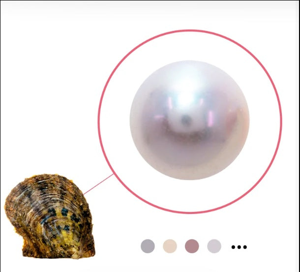 Akoya Oyster - Edison Single 8mm-10mm (smaller size budget friendly) Natural &amp; Color