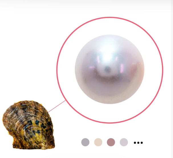 Akoya Oyster - Edison Natural Single 8mm-10mm (smaller size budget friendly)