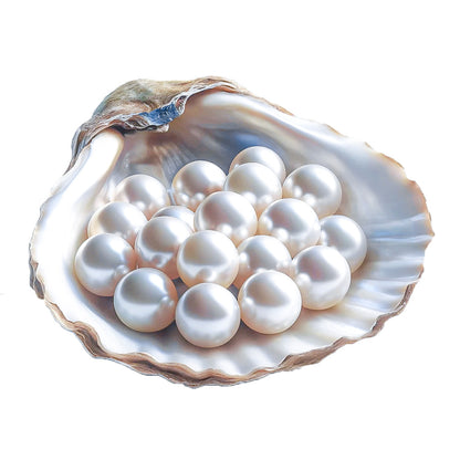 Akoya Oyster - Real Saltwater Pearls from Japan