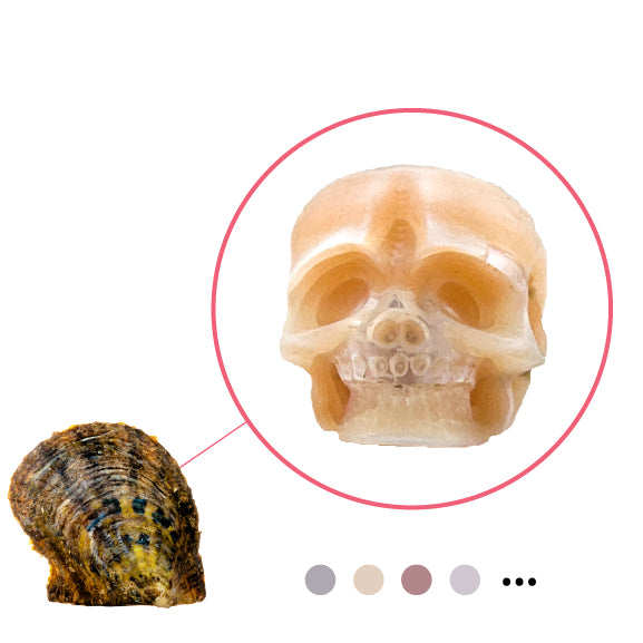 Akoya Oyster - Skull Shaped Pearl