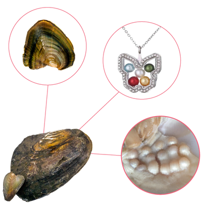 Monster Oyster - Meta Monster 2 In 1 with FREE Glass Locket and Chain