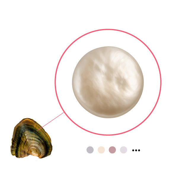 Freshwater Oyster - Coin Shaped Natural Color Pearl