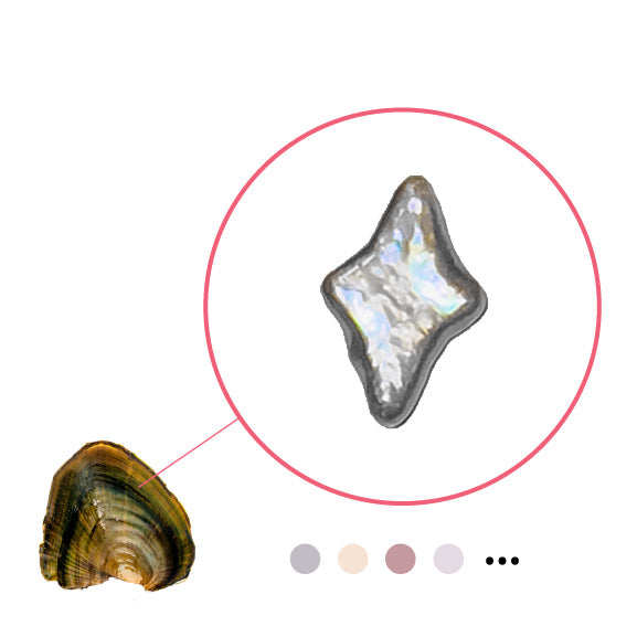 Perla en forma de estrella polar en concha de ostra de agua dulce