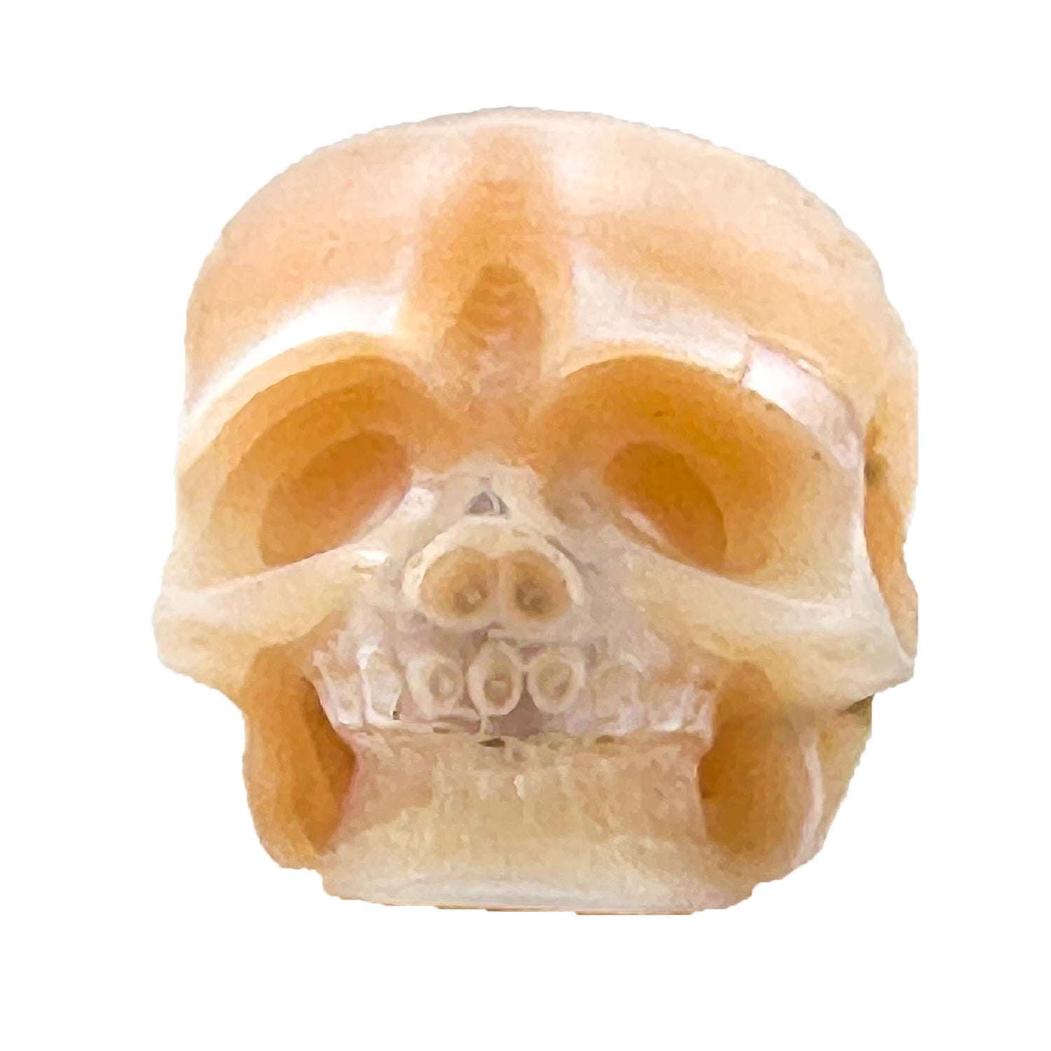 Akoya Oyster - Skull Shaped Pearl