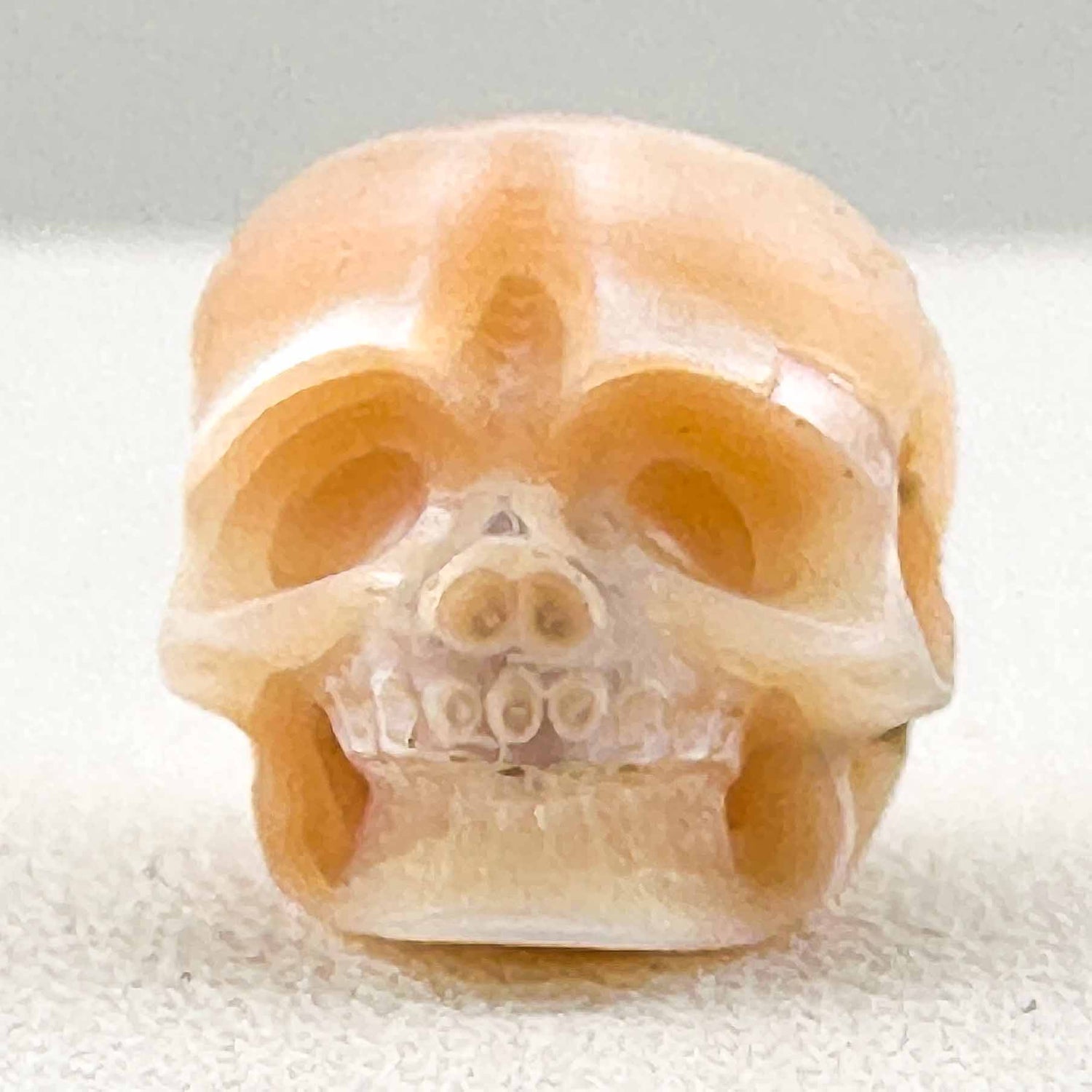 Akoya Oyster - Skull Shaped Pearl