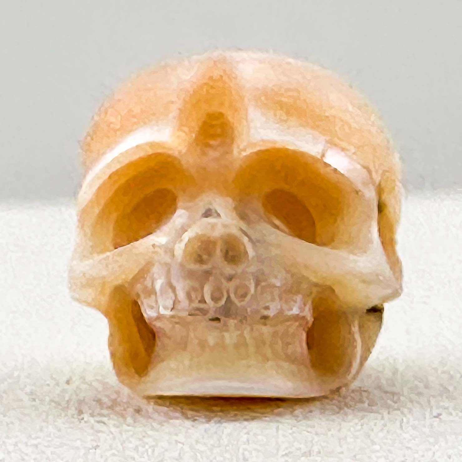 Akoya Oyster - Skull Shaped Pearl