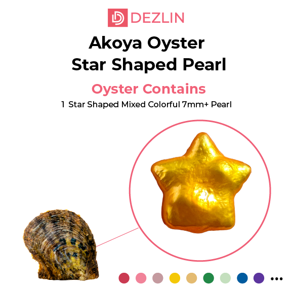 Concha de ostra Akoya con perla en forma de estrella