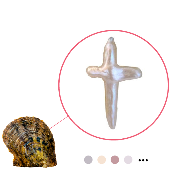 Concha de ostra Akoya con perla de color natural en forma de cruz