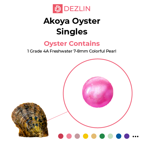 Perlas redondas de agua dulce en una ostra de concha de Akoya
