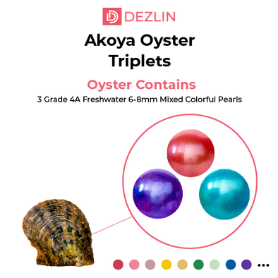 Akoya Oyster - Round Pearls