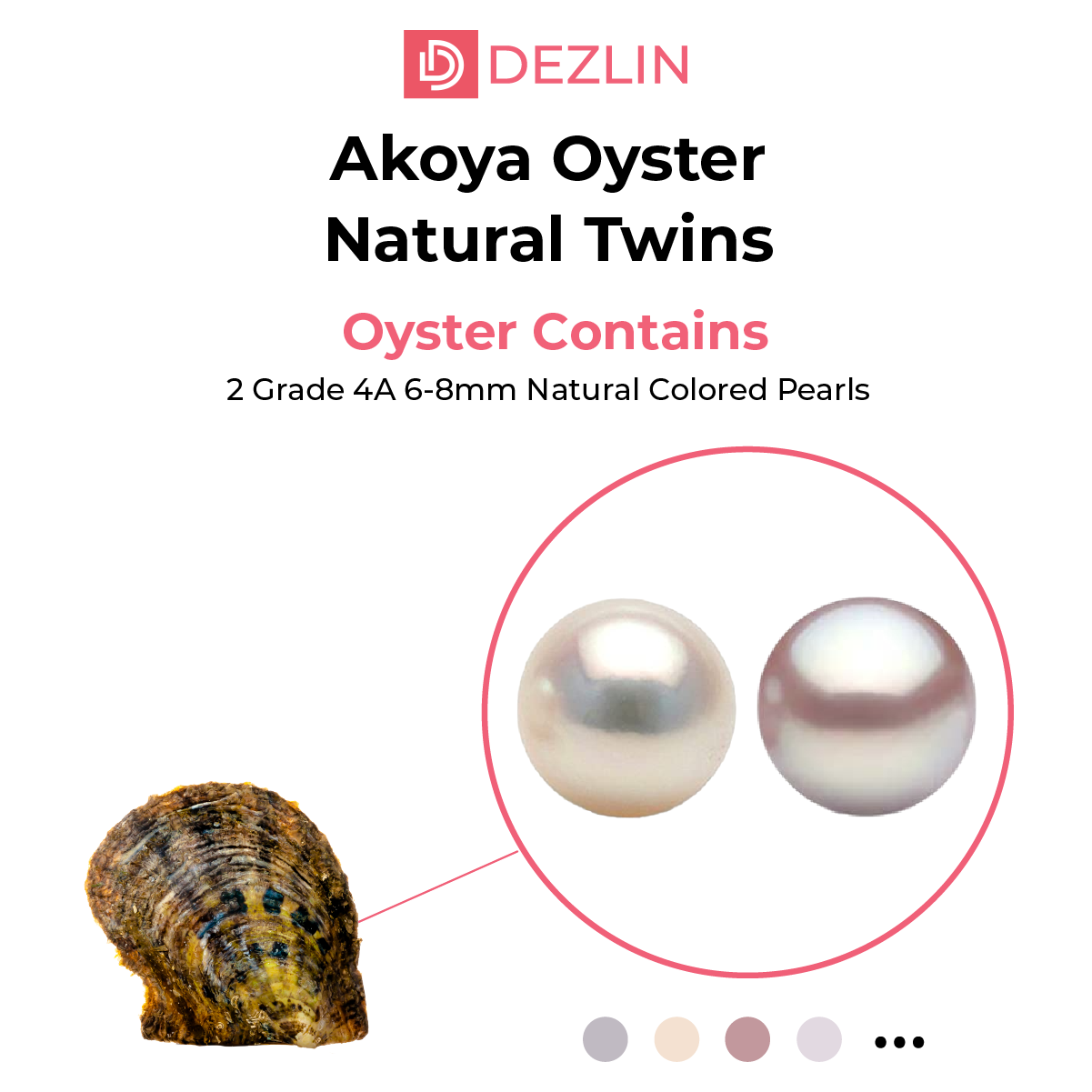 Round Freshwater Pearls in an Akoya Shell Oyster