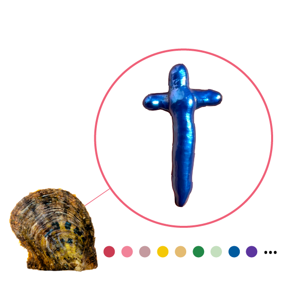 Concha de ostra Akoya con perla grande en forma de cruz