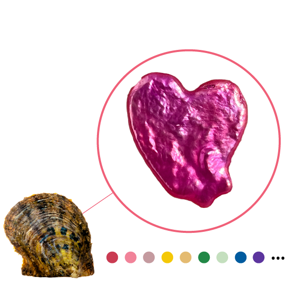 Concha de ostra Akoya con perla en forma de corazón
