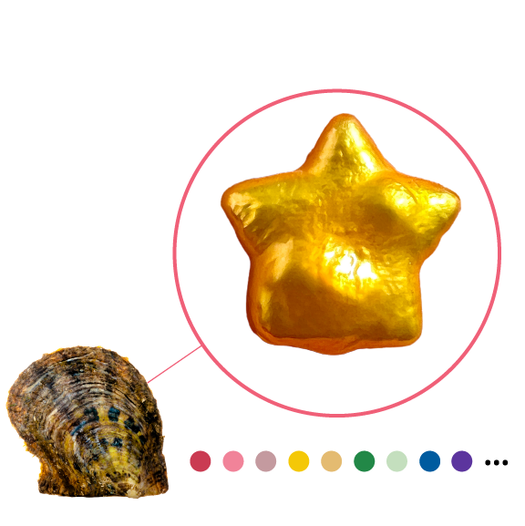 Akoya Oyster - Star Shaped Pearl