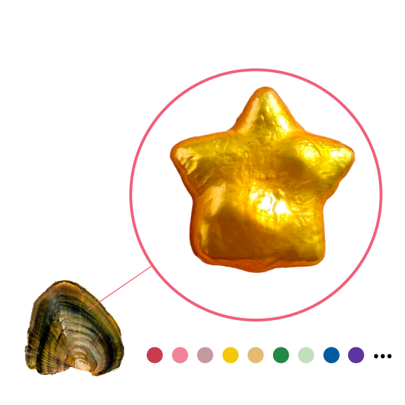 Freshwater Shell with Star Shaped Pearl