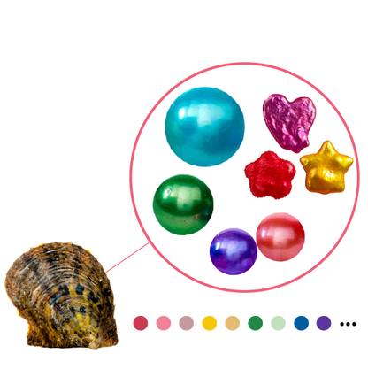 5 formas de perlas misteriosas en una concha de ostra