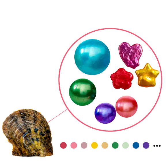 Akoya or Freshwater  Oyster - 5 Mystery Pearl Shapes