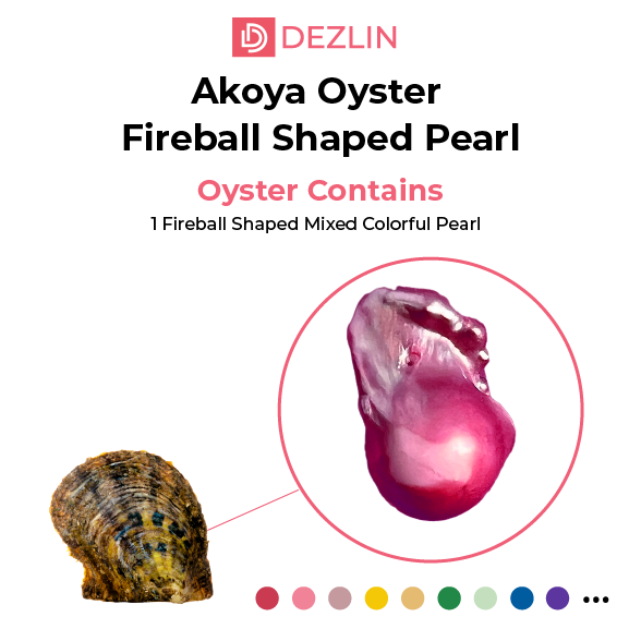 Concha de ostra Akoya con perla en forma de bola de fuego
