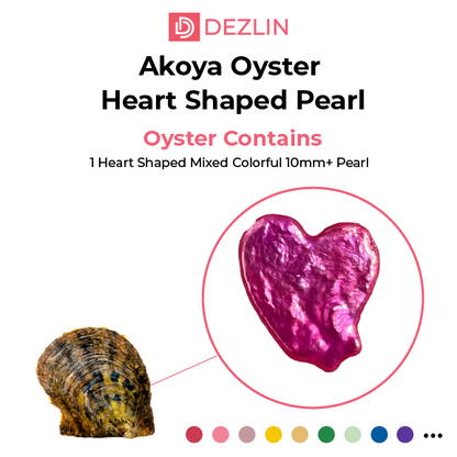 Akoya Oyster Shell with Heart Shaped Pearl